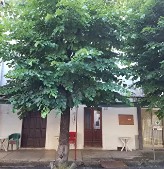Foto annuncio 13