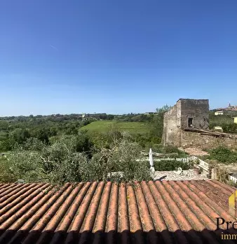 Foto annuncio 29