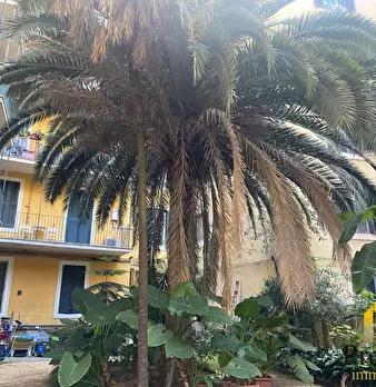 Foto annuncio 16
