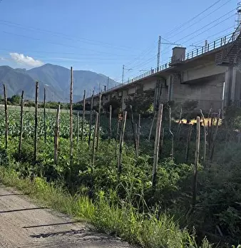 Foto annuncio 1