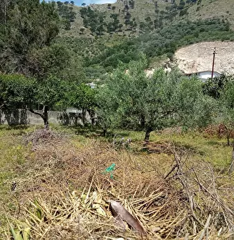 Foto annuncio 2