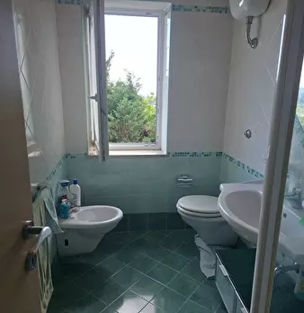 Foto annuncio 9