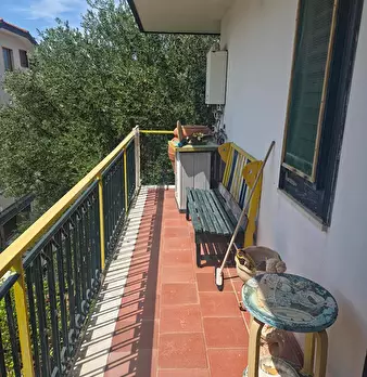 Foto annuncio 13