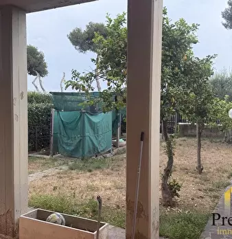 Foto annuncio 5