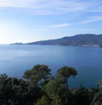 Foto annuncio 10