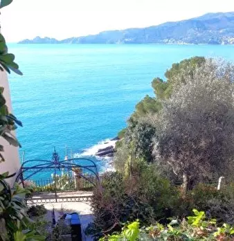 Foto annuncio 9