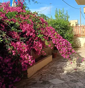 Foto annuncio 2