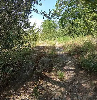 Foto annuncio 1