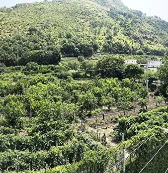 Foto annuncio 37