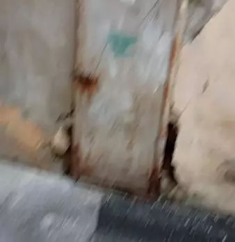 Foto annuncio 13