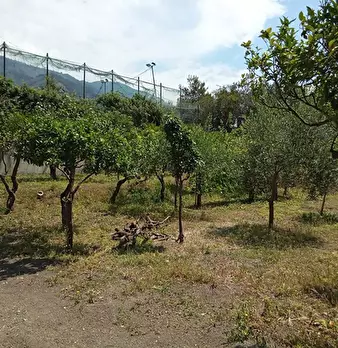 Foto annuncio 3