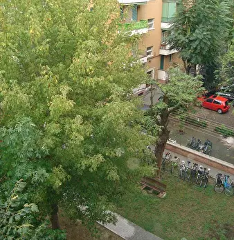 Foto annuncio 6