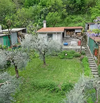 Foto annuncio 7