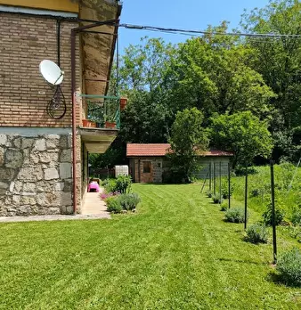 Foto annuncio 10