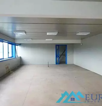 Foto annuncio 12
