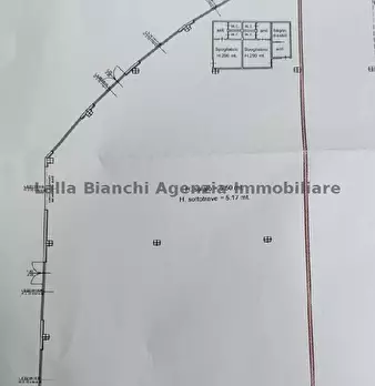 Foto annuncio 11