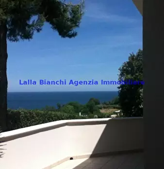 Foto annuncio 85