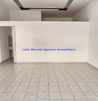 Foto annuncio 12
