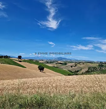 Foto annuncio 46