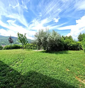 Foto annuncio 32