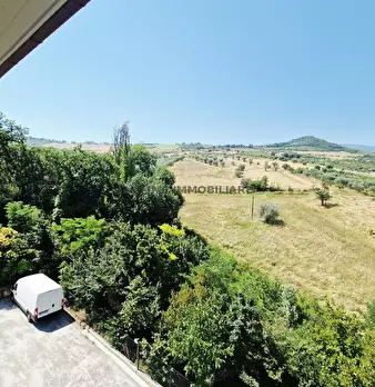 Foto annuncio 32