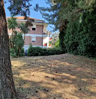 Foto annuncio 27