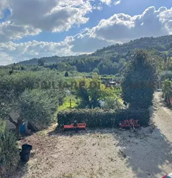 Foto annuncio 9