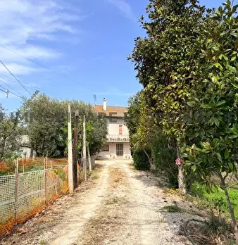 Foto annuncio 12