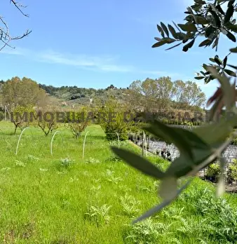 Foto annuncio 14