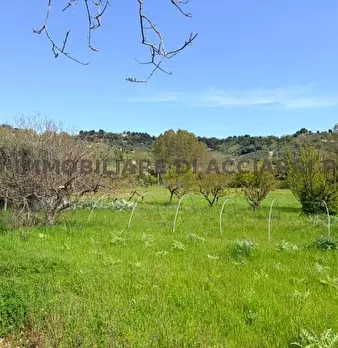 Foto annuncio 15