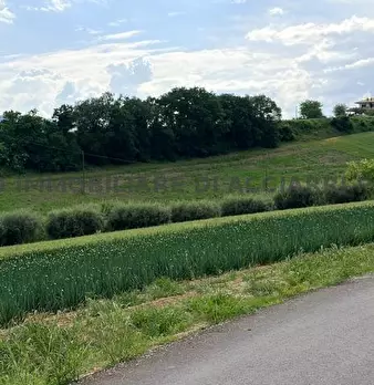 Foto annuncio 3