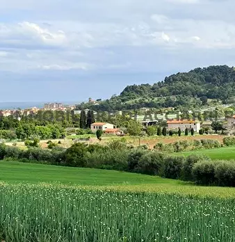 Foto annuncio 5