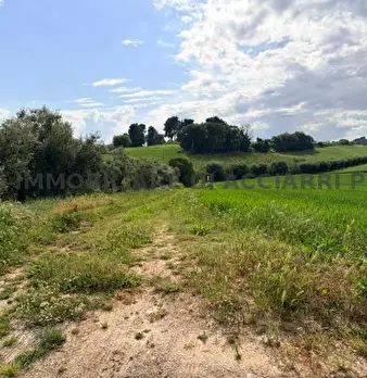 Foto annuncio 6