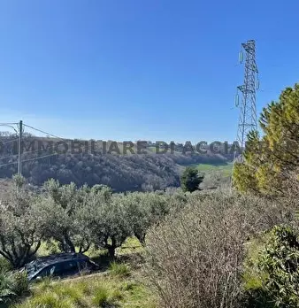 Foto annuncio 4