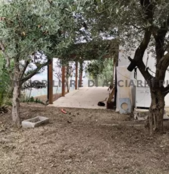 Foto annuncio 6