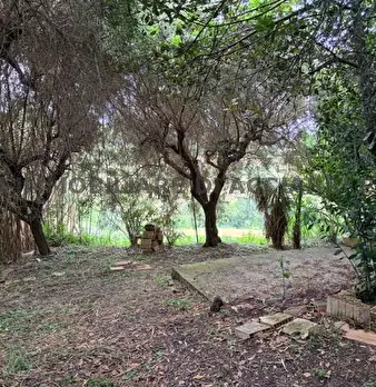 Foto annuncio 14