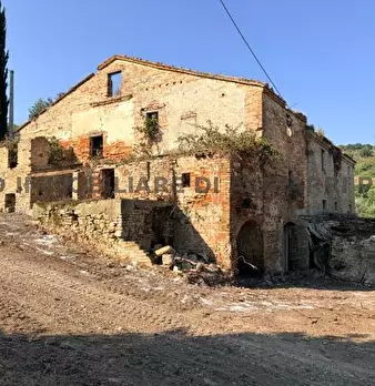 Foto annuncio 4