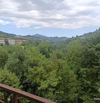 Foto annuncio 10