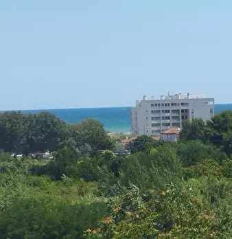 Foto annuncio 12