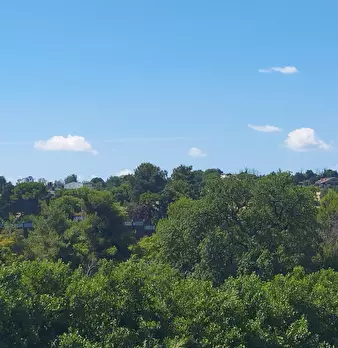 Foto annuncio 16