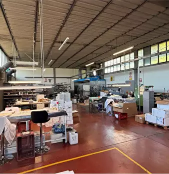 Foto annuncio 7
