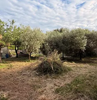 Foto annuncio 5