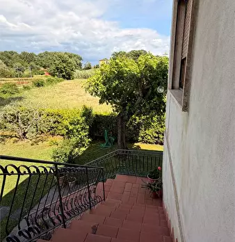 Foto annuncio 6
