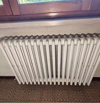 Foto annuncio 44