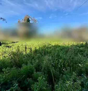 Foto annuncio 40