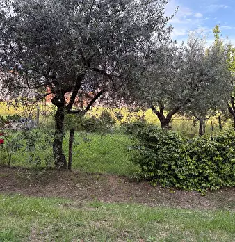 Foto annuncio 21