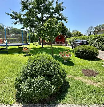 Foto annuncio 35