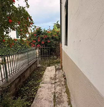 Foto annuncio 8