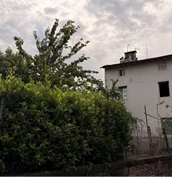 Foto annuncio 21