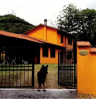 Foto annuncio 31